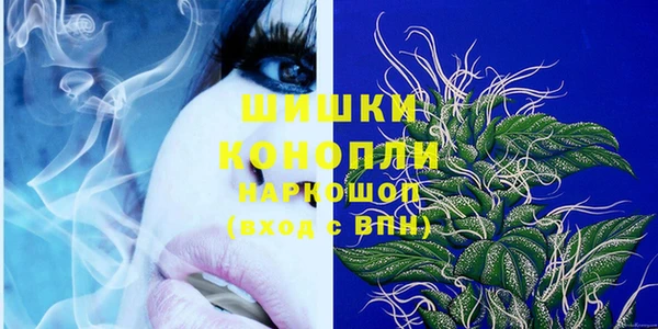 прущие грибы Алексеевка