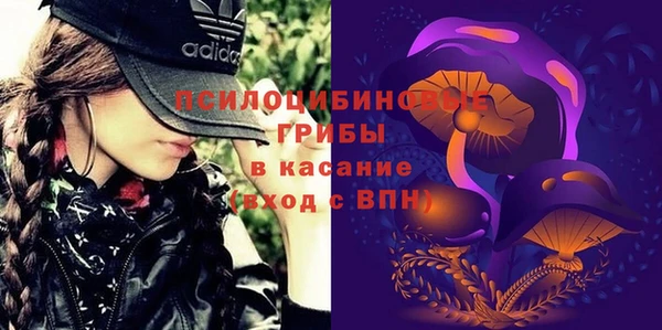 spice Алексин