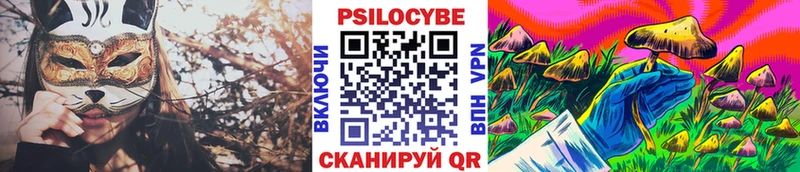 площадка состав  Аткарск  Галлюциногенные грибы Psilocybe 